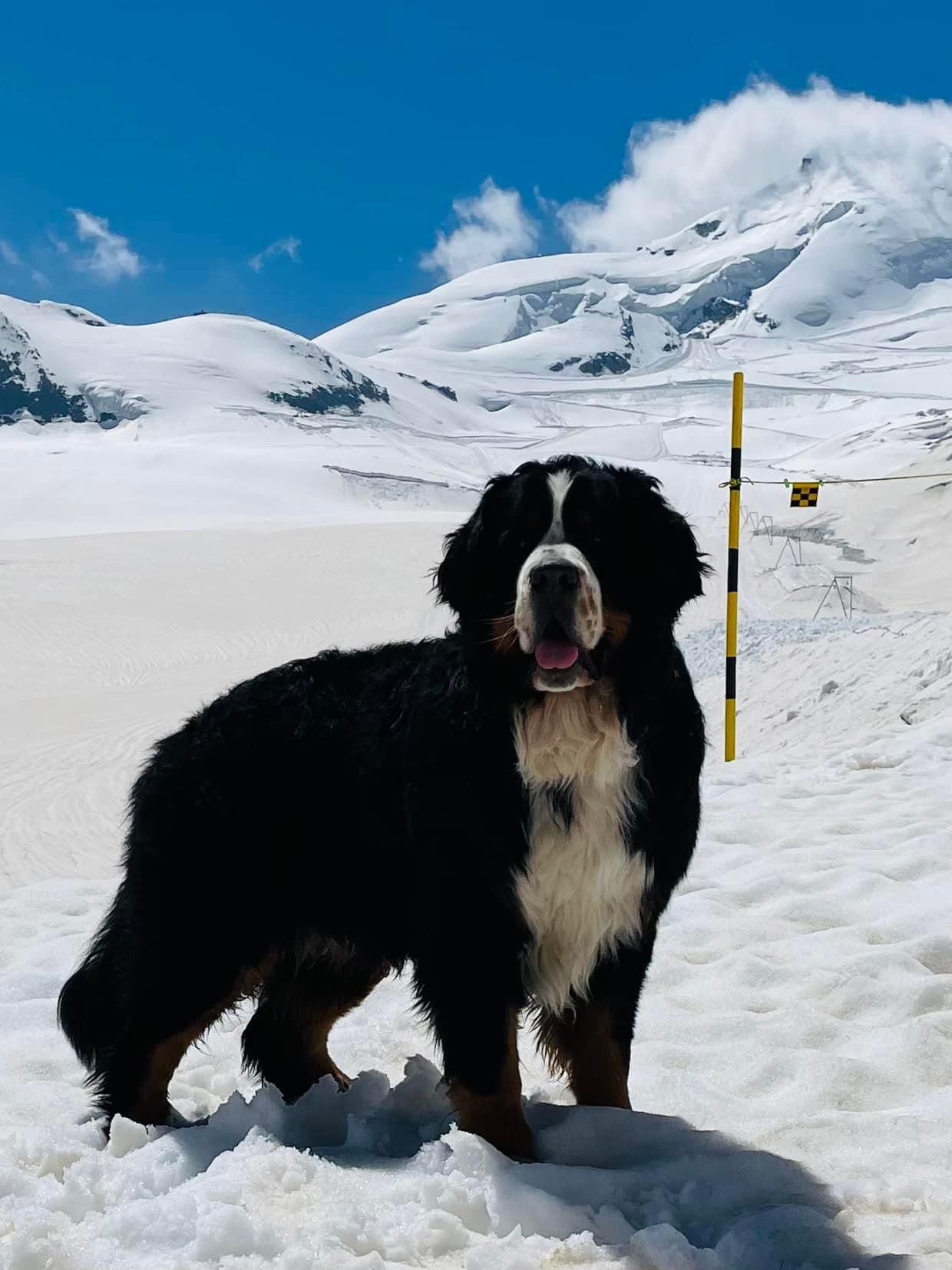 IMG 20250613 WA0014 18