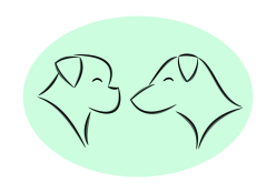 cropped hondenschool superpup apeldoorn pup 3